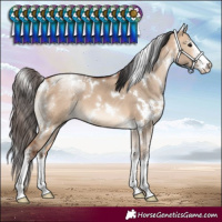 Horse Color:White Spotted Bay Dun 