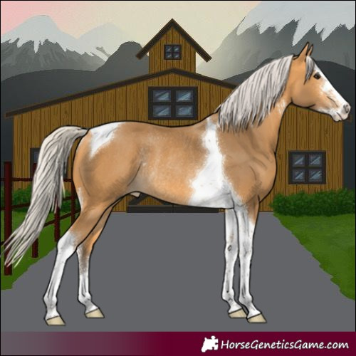 Horse Color:Silver Buckskin Sabino Tobiano Rabicano