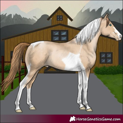 Horse Color:Smoky Black Pearl Tobiano 