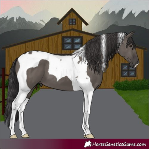 Horse Color:Smoky Grullo Tobiano
