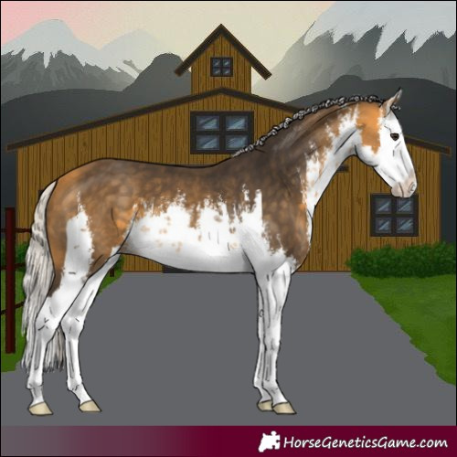 Horse Color:White Spotted Silver Buckskin Splash 