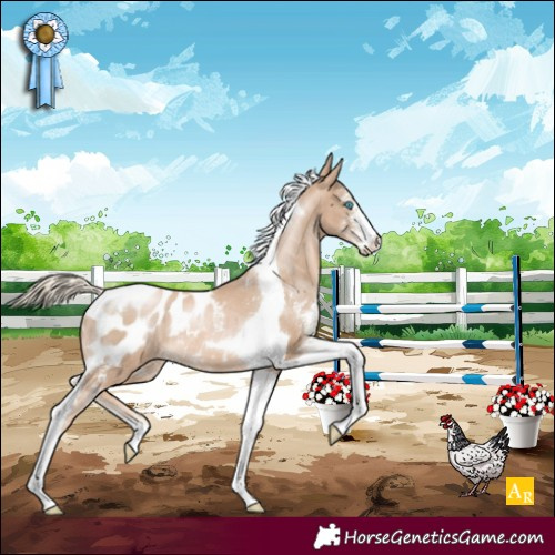 Horse Color:Chocolate Palomino Pearl Sabino Tobiano Appaloosa Rabicano 