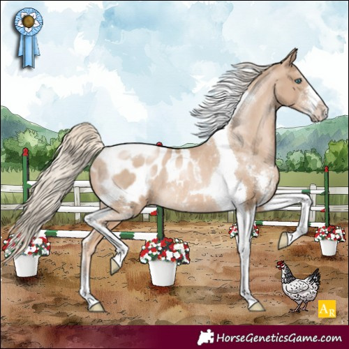 Horse Color:Chocolate Palomino Pearl Sabino Tobiano Blanket Rabicano 