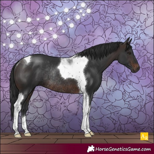 Horse Color:Brown Tobiano Rabicano 