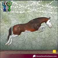 Horse Color:Bay Splash
