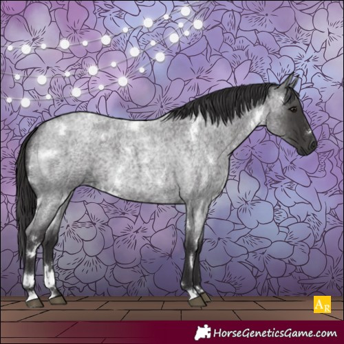 Horse Color:White Spotted Smoky Blue Roan 