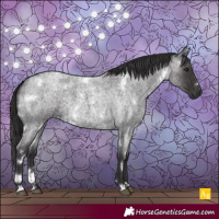 Horse Color:White Spotted Smoky Blue Roan