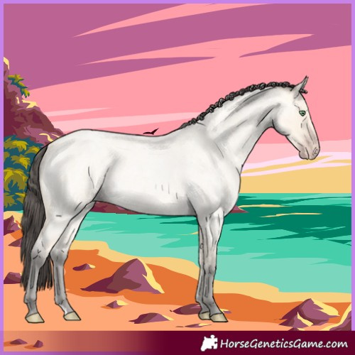 Horse Color:Amber Cream Champagne Roan 
