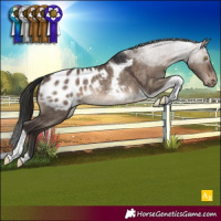 Horse Color:Brown Dun Tobiano Blanket Rabicano
