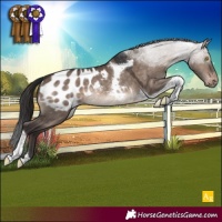 Horse Color:Brown Dun Tobiano Appaloosa Rabicano