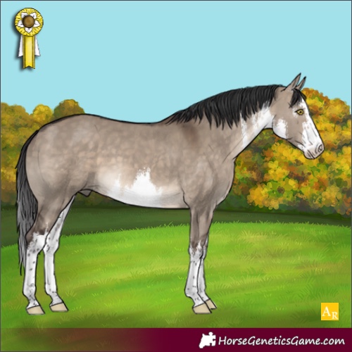Horse Color:White Spotted Brown Dun 