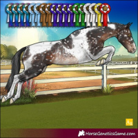 Horse Color:Brown Tobiano Snowflake Varnish Rabicano