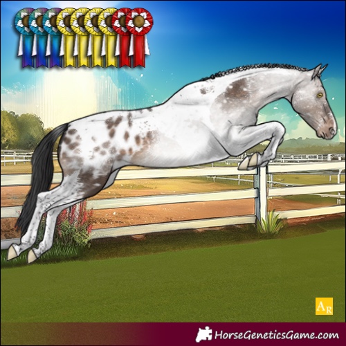 Horse Color:Brown Dun Tobiano Blanket 
