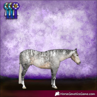 Horse Color:Powder White Gray Silver Smoky Black Appaloosa 
