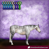 Horse Color:Powder White Gray Silver Smoky Black Snowflake Varnish