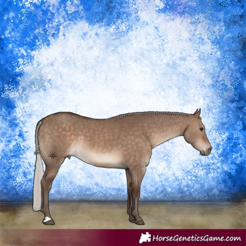 Horse Color:Silver Bay Dun Rabicano 