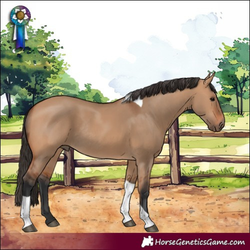 Horse Color:Bay Dun Tobiano Rabicano 