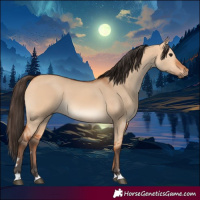 Horse Color:Bay Dun 