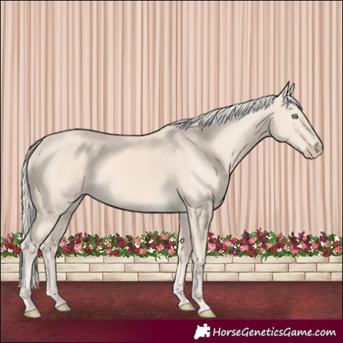 Horse Color:Cremello 