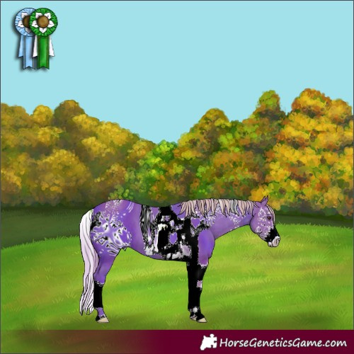 Horse Color:ERROR: UNKNOWN ANOMALY