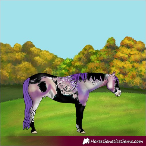 Horse Color:ERROR: UNKNOWN ANOMALY