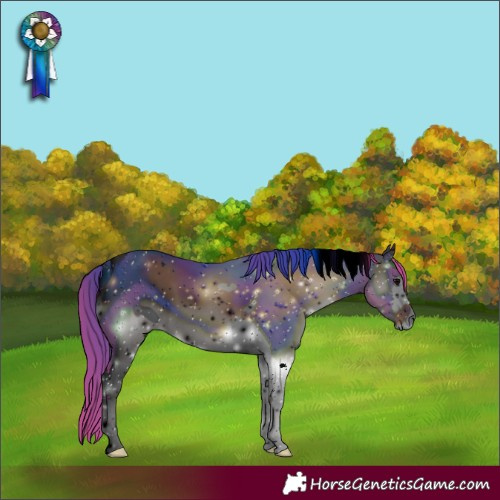 Horse Color:ERROR: UNKNOWN ANOMALY