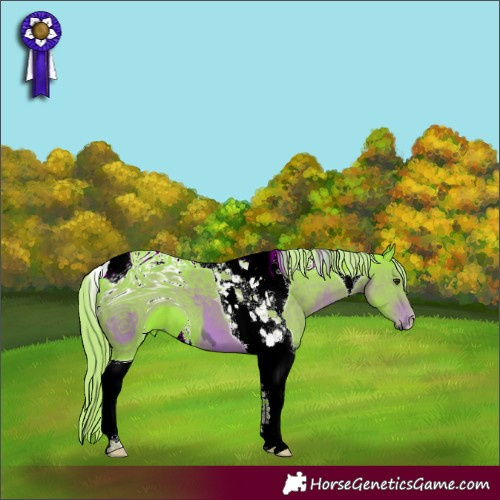 Horse Color:ERROR: UNKNOWN ANOMALY