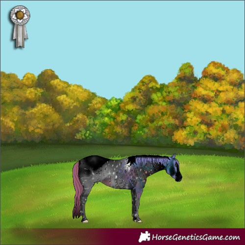 Horse Color:ERROR: UNKNOWN ANOMALY