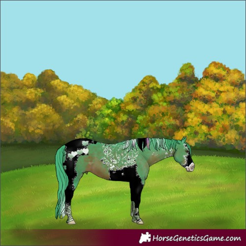 Horse Color:Watercolor White Spotted Liver Chestnut Tobiano 