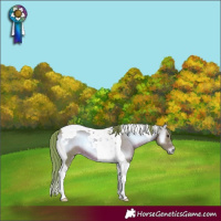 Horse Color:Watercolor Red Onyx Tobiano 