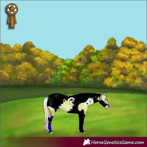 Horse Color:ERROR: UNKNOWN ANOMALY