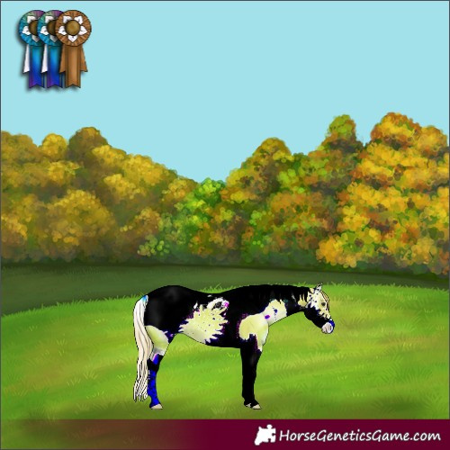 Horse Color:ERROR: UNKNOWN ANOMALY