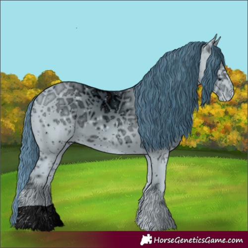 Horse Color:ERROR: UNKNOWN ANOMALY