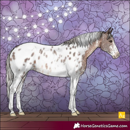 Horse Color:Silver Brown Sabino Tobiano Appaloosa Rabicano 