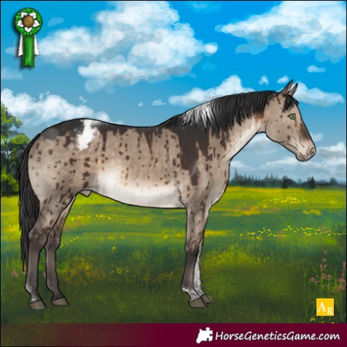 Horse Color:Brown Dun Tobiano Appaloosa Brindle 