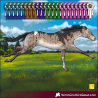 Horse Color:Brown Dun Tobiano Blanket Brindle