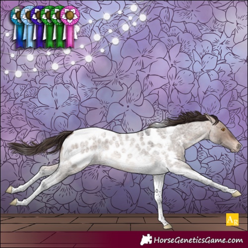Horse Color:Bay Roan Dun Mushroom Tobiano Appaloosa 
