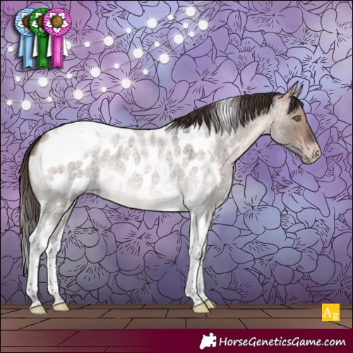Horse Color:Bay Roan Dun Mushroom Tobiano Appaloosa 