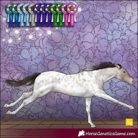 Horse Color:Bay Roan Dun Mushroom Tobiano Near Leopard