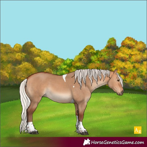 Horse Color:Silver Bay Dun Tobiano 