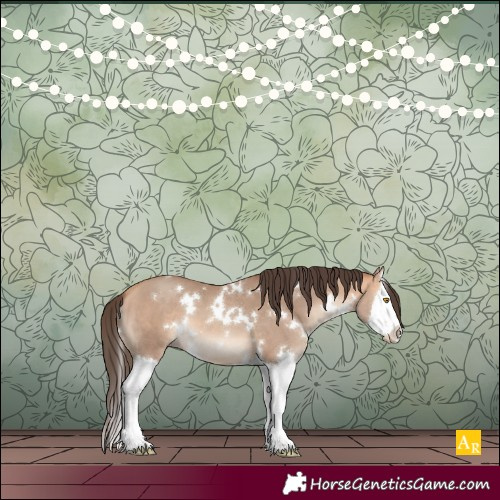 Horse Color:White Spotted Amber Champagne Splash