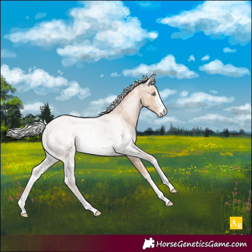 Horse Color:Silver Smoky Creme Roan Rabicano 