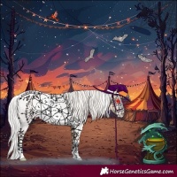 Horse Color:Silver Smoky Creme Roan Rabicano