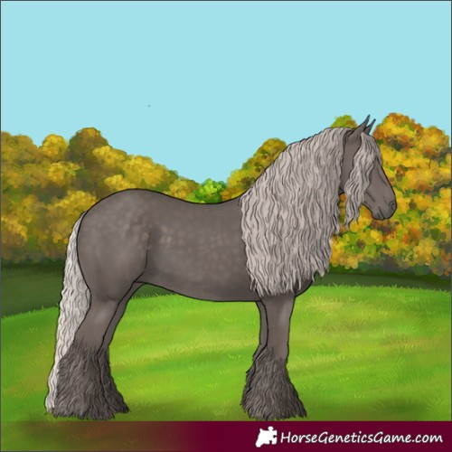 Horse Color:Silver Black 