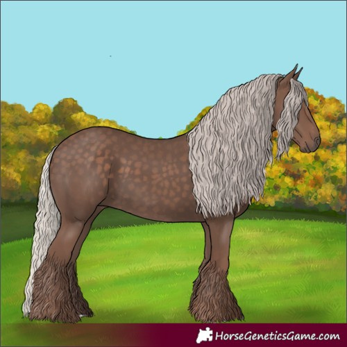Horse Color:Silver Black 