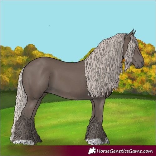 Horse Color:Silver Black 