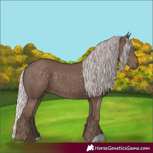 Horse Color:Silver Black 
