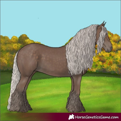 Horse Color:Silver Black 