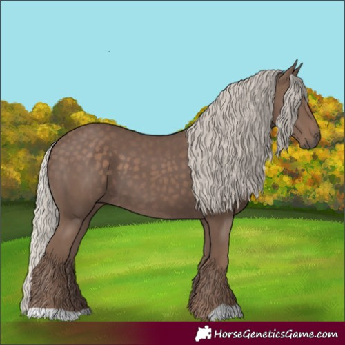 Horse Color:Silver Black