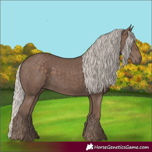 Horse Color:Silver Black 